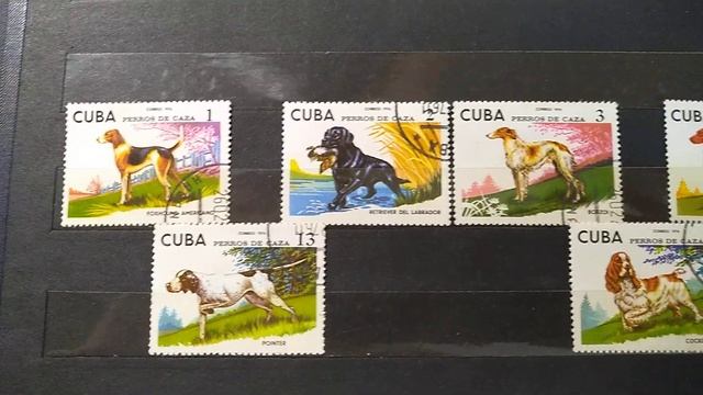 Почтовые Марки с барахолки смотреть онлайн