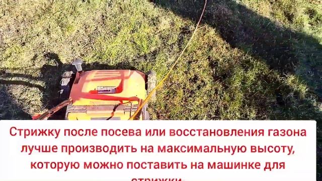 Краткий гайд как посеять газон скарификатором, или восстановить старый. посев газона смотреть онлайн