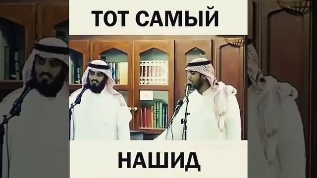 Песня куран смотреть онлайн
