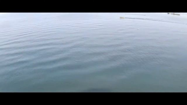 MJX B20 EIS | TEST FLIGHT & CINEMATIC HD смотреть онлайн