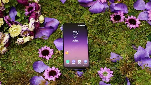 Samsung Galaxy S8 vs. Galaxy S8 Plus: ¿Cuáles son las diferencias? смотреть онлайн