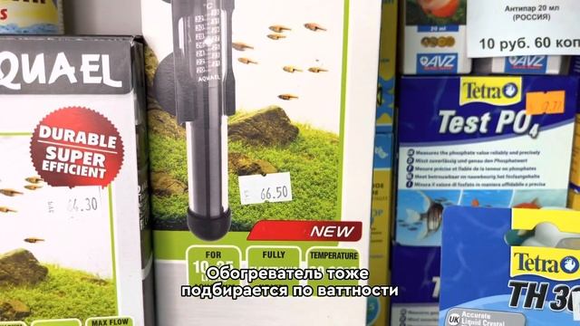 Товары для рыбок смотреть онлайн