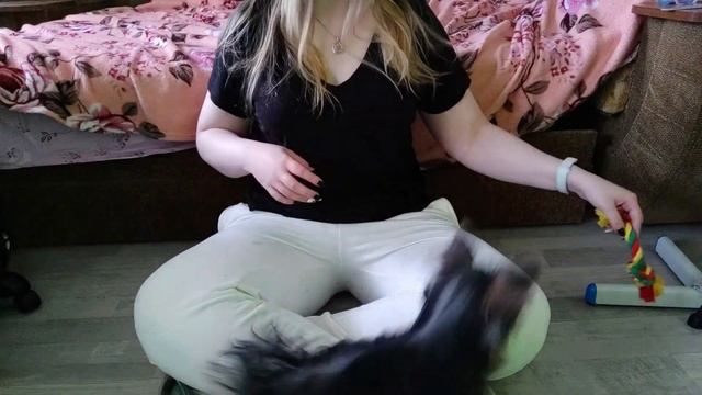 ЧТО ДЕЛАТЬ чтобы СОБАКА УСТАЛА ? ГАЙД ДЛЯ ЛЕНИВЫХ смотреть онлайн