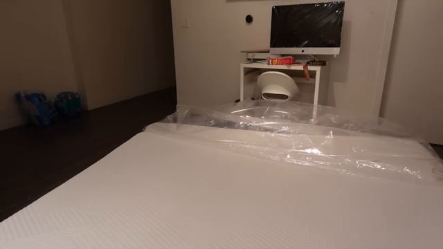 100K Plaque, TT's Tanghulu Fruit ,Vegas Trip , Fashion Nova Try On Haul, Loaded Fried Cabbage, смотреть онлайн