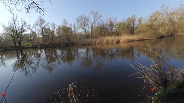 Ловля на ДОНКУ с пружиной I Проверка нового места смотреть онлайн