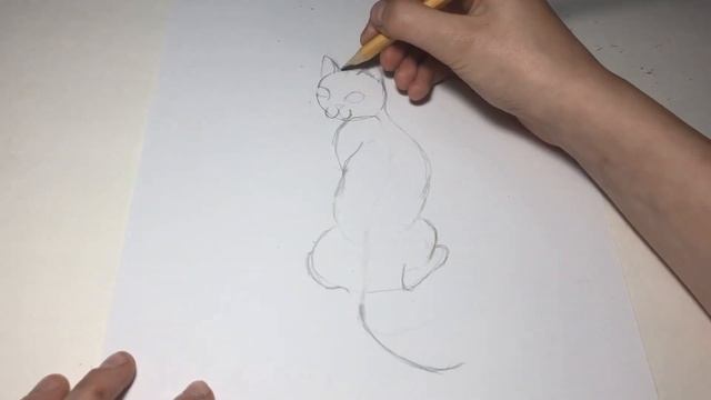 Как рисовать кошку поэтапно карандашом для детей. Стикботы Сашка и Пашка смотреть онлайн