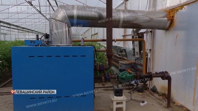 Субсидию до 3 млн рублей могут получить сельхозпроизводители Дагестана безвозмездно от государства смотреть онлайн
