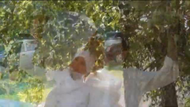 Никах смотреть онлайн