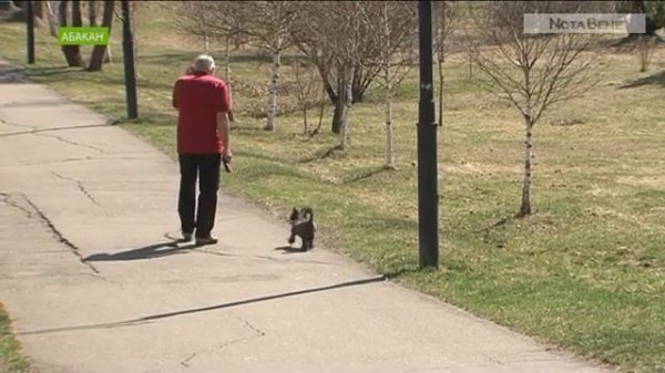 Проверено NotaBene: запрет на выгул собак в парке