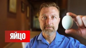 Самый полезный белок в мире - яйцо🍳