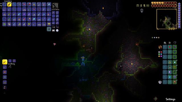 When the Terraria Calamity mod makes the boys SUS смотреть онлайн