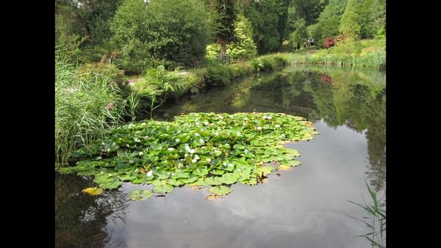 Visiting Chatsworth House in Derbyshire England смотреть онлайн