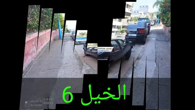 سيارة مستعملة للبيع 205 نقية بالزاف والتمن زوين