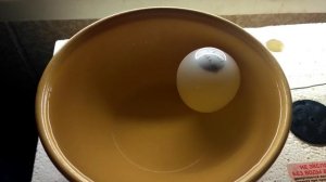 Проверка яиц перед вылуплением.Живые птенцы или нет?Как проверить на последних днях инкубации яйцо