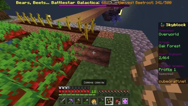 ФЕРМЕРСКИЕ ЗАДАНИЯ НА СЕРВЕРЕ CUBECRAFT В SKYBLOCK 1.16.220