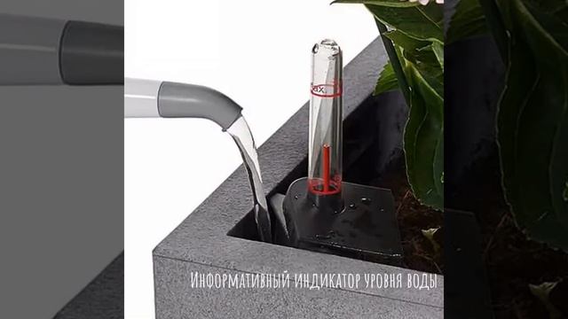 Кашпо для цветов ? LECHUZA CANTO Stone Wide с автополивом? #shorts #lechuzamoscow #автополив смотреть онлайн
