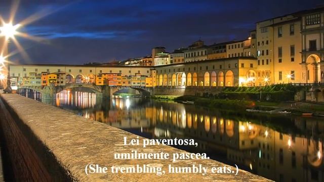 Vide Cor Meum - libretto in Italian / Latin with translation. смотреть онлайн