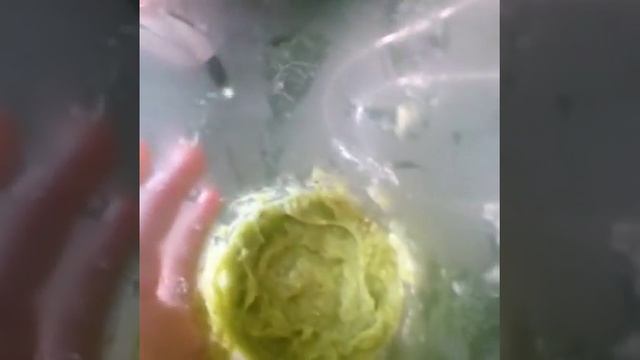 Что кушает мой хомячок? смотреть онлайн