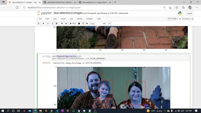 Demo | face detection in images | object detection | BookMan | Python Projects смотреть онлайн