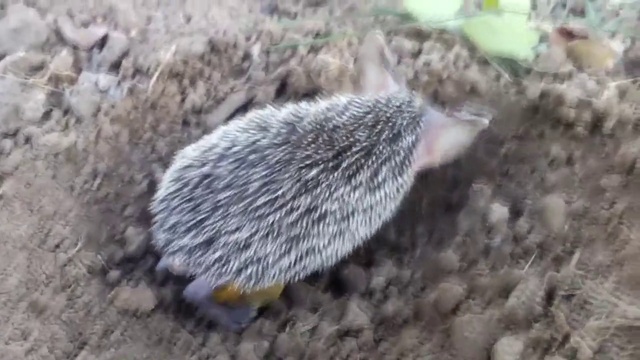 #Найдёныш_часть_вторая-продолжение смотреть онлайн