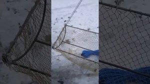 лучшая раколовка, волокуша, для лова рака с берега#ловракараколовкой#ловракаволокушей#волокуша#