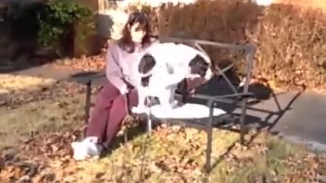 Furkids/Small Dog Rescue - Betsy Bit O'Honey смотреть онлайн