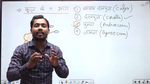 फूल के भाग | Parts of Flower | Structure of a Flower | Function of Flower | Botany смотреть онлайн