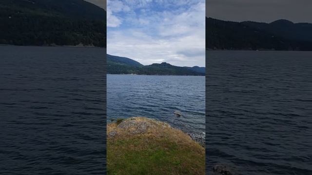 Orcas Island 2019 Ferry(4) смотреть онлайн