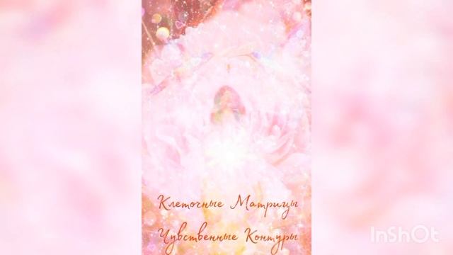 О Клеточных Матрицах и Чувственных Контурах смотреть онлайн