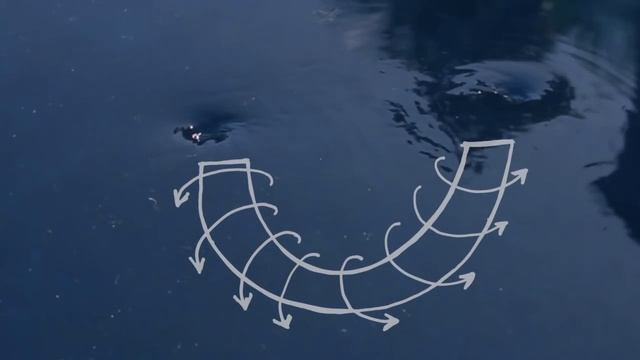 Crazy pool vortex смотреть онлайн