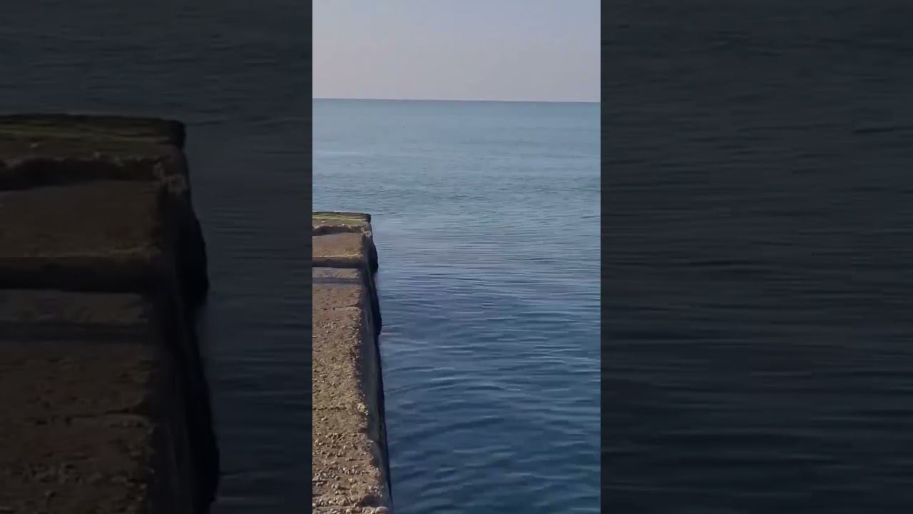 Жители Сочи делятся на два типа. 18.01.23 г. Погода в Сочи #shorts #погодасочи #погодаадлер #сочи смотреть онлайн