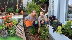 Дачные сезоны с Мариной Рыкалиной от 25 мая 2023 года