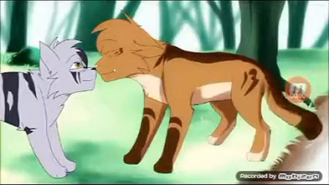 Коты-Воители. Warriors cats смотреть онлайн