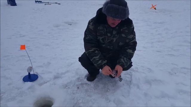 Пруд Пионерский 14 01 2017