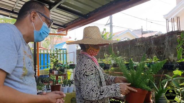 Plan Mo Ba Maging Plantita O Plantito HALAMAN TIPS Ito'y Para Sa Inyo