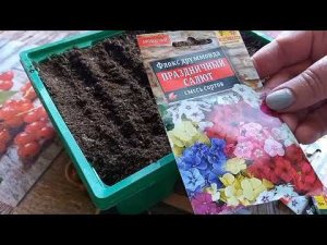 Какие цветы, я буду сеять, в конце февраля.Деревенские будни.