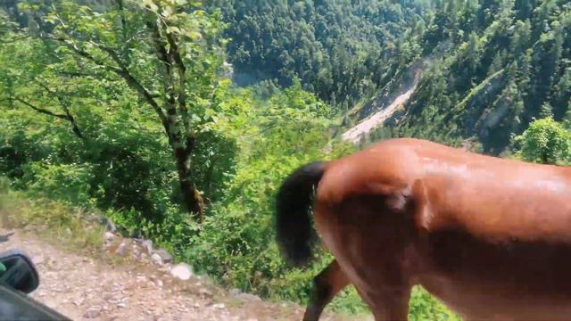 АБХАЗИЯ Красивые места 2023 смотреть онлайн