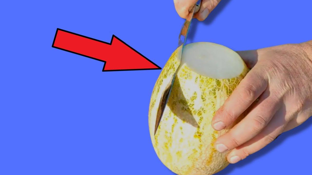 ТРИ СУПЕР СПОСОБА НАРЕЗКИ ДЫНИ, КОТОРЫЕ ВЫ НЕ ЗНАЛИ #13 смотреть онлайн