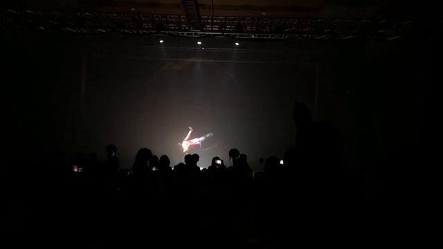 [ALTA MEDIA] 3D GOBELINE TULLE HOLOGRAPHIC DISPLAY (DHL SHOWCASE) смотреть онлайн