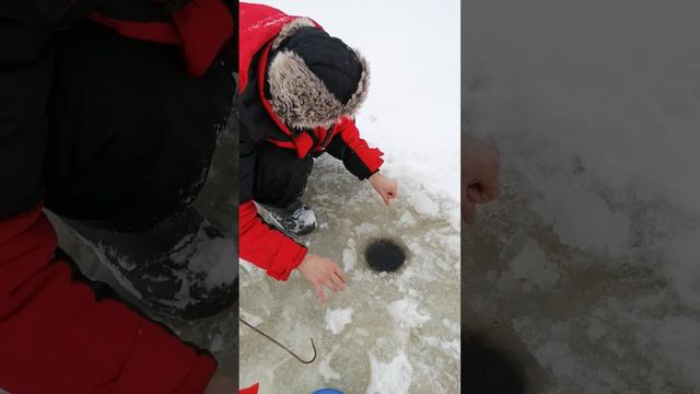 Рыбалка. Жерлицы. Лен. обл. за 3 часа одна сработка. смотреть онлайн