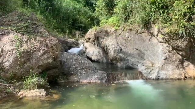 VLOG PUERTO RICO???МОЯ ПЕРВАЯ ТАТУИРОВКА!/НЕОБИТАЕМЫЙ ПЛЯЖ смотреть онлайн