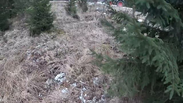 Röjer med Husqvarna 252 med treudds klingan смотреть онлайн