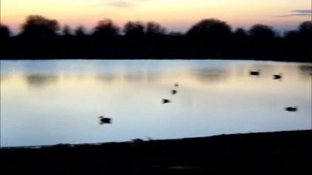 Video- nuit en Baie смотреть онлайн