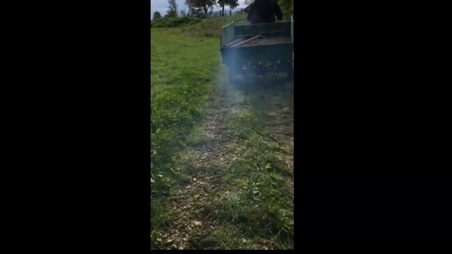#7 Муравей на бездоріжжі#offroad#проходимість мотороллера#tricycle смотреть онлайн