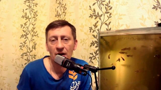 Анекдоты 2021 Года - Подборка Анекдотов смотреть онлайн