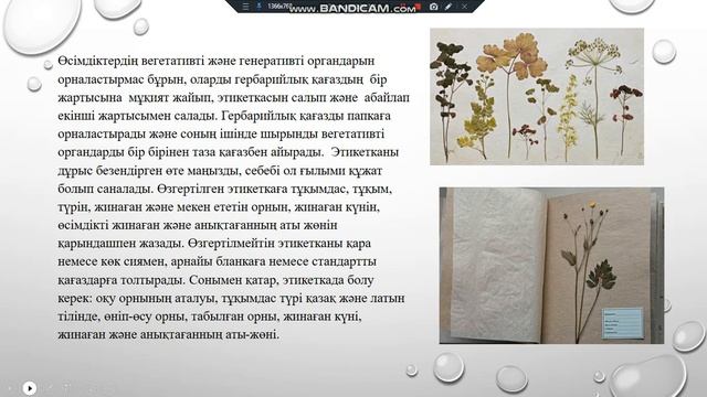 ҮСШК.Оқытушылар:Турлығожаева Л.Е., Тойман А.Ж Тақырыбы: Өсімдіктерді жинау мен гербарийлеу смотреть онлайн