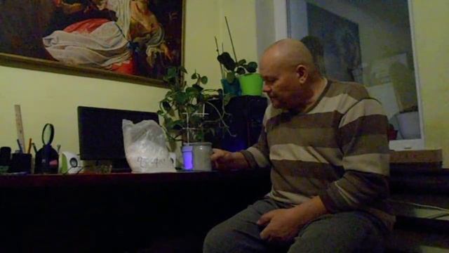 виноград Приазовья корневая подкормка винограда смотреть онлайн