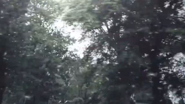 香港電視廣告Canon Eos 650D смотреть онлайн