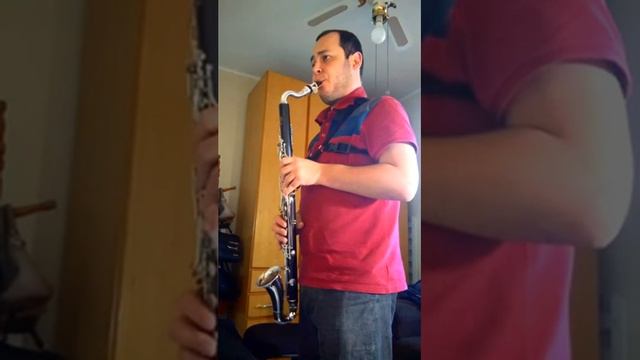 Clarinete Alto Eb LeBlanc - hino 357 CCB смотреть онлайн