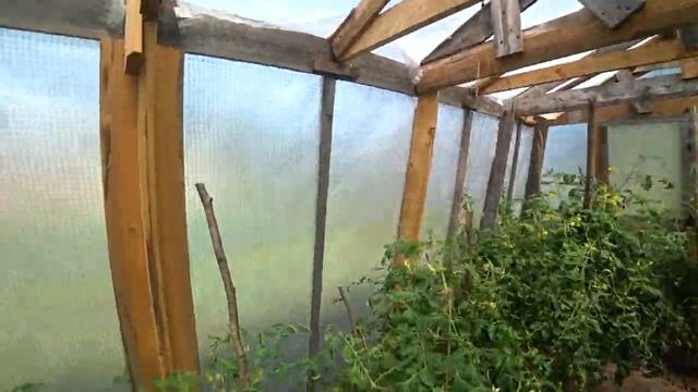 Обзор деревенского огорода и бани. Жизнь в деревне. смотреть онлайн
